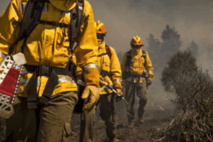 Reunión Comisión Negociadora. Reestructuración Plan INFOEX