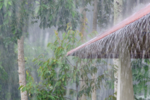 Alerta por lluvias fuertes e inundaciones en Extremadura