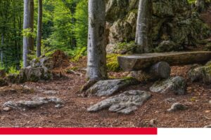 Declarada la época de peligro bajo de incendios forestales de Extremadura