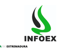 Concurso de Traslado limitado Plan Infoex. Adjudicación provisional de destinos