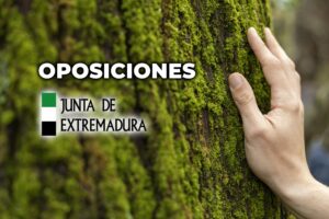 Procesos Selectivos. Junta de Extremadura