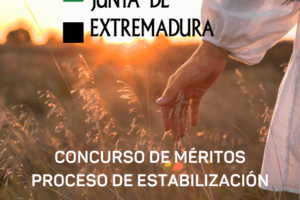 Publicación en el DOE . Relación de aspirantes en el proceso de estabilización por concurso de méritos. Grupo IV y Titulados Superiores