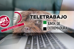 Convocatoria de Teletrabajo 2024. Junta de Extremadura