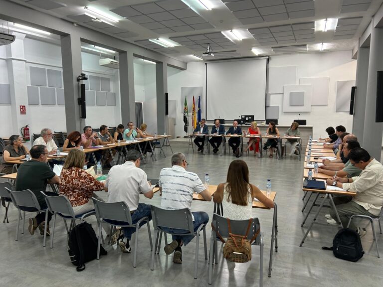 Lee más sobre el artículo MESA GENERAL DE NEGOCIACIÓN SUBIDA SALARIAL 2,5% en JULIO. Acuerdo Marco firmado por UGT