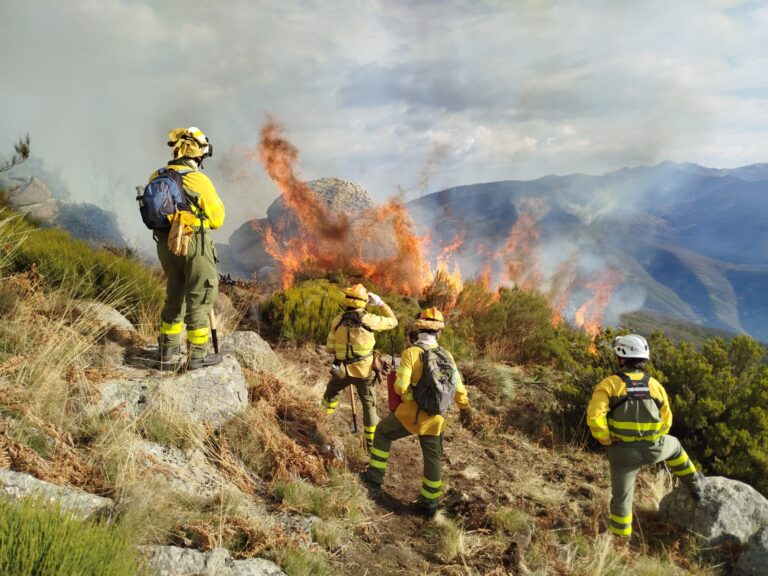 Lee más sobre el artículo UGT y CCOO presentan alegaciones al Real Decreto sobre la jubilación anticipada de bomberos y bomberas forestales