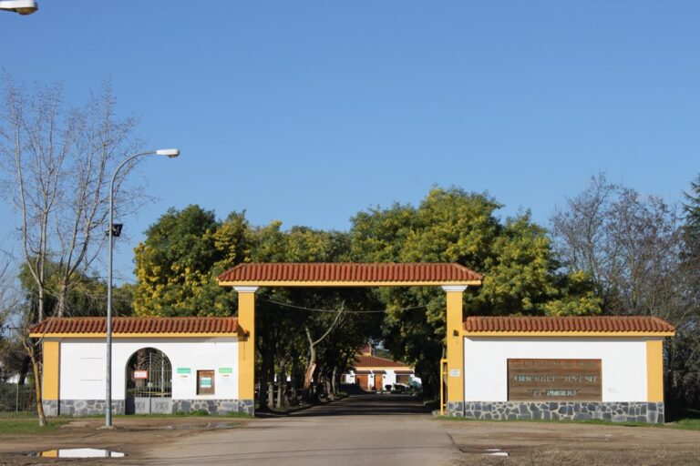 Lee más sobre el artículo UGT gana las elecciones sindicales en ACCEM Mérida y refuerza su compromiso con las trabajadoras y trabajadores del sector social