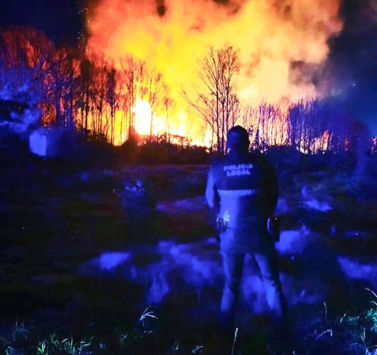 Lee más sobre el artículo Modificación de la Ley General de la Seguridad Social para el cómputo íntegro de los coeficientes reductores de jubilación