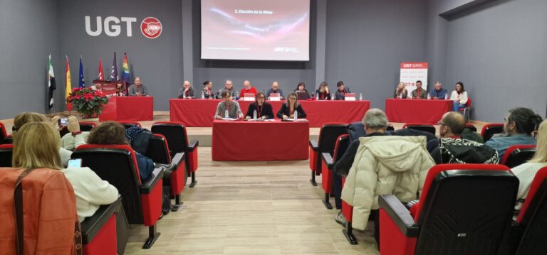 Lee más sobre el artículo UGT Servicios Públicos Extremadura celebra su I Comité Regional con una hoja de ruta clara para defender los servicios públicos, subir salarios y ampliar la representación sindical