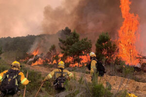 UGT denuncia que hay comunidades que solo mantienen unidades de bomberos forestales en verano y carecen de planes actualizados