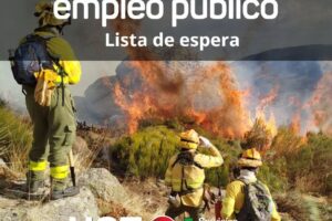 Relaciones provisionales de admitidos y excluidos. Lista de espera INFOEX